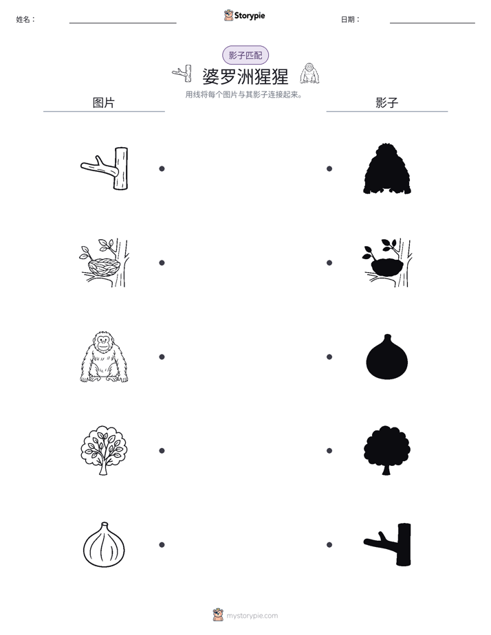 影子匹配