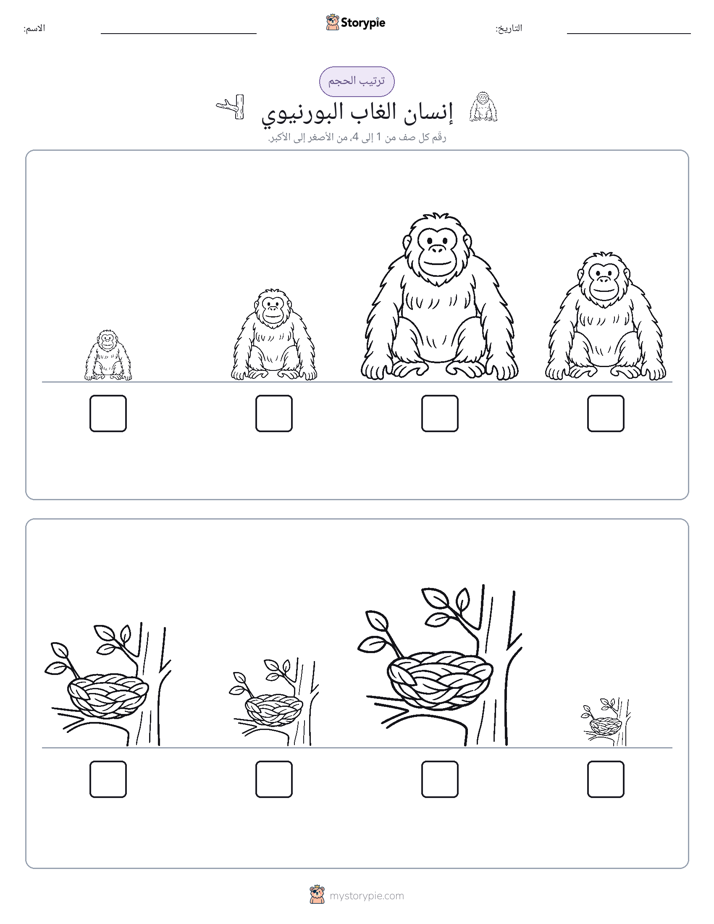 ترتيب الحجم