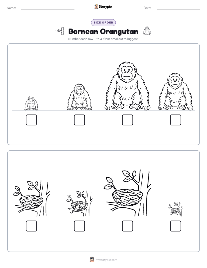 Size Order