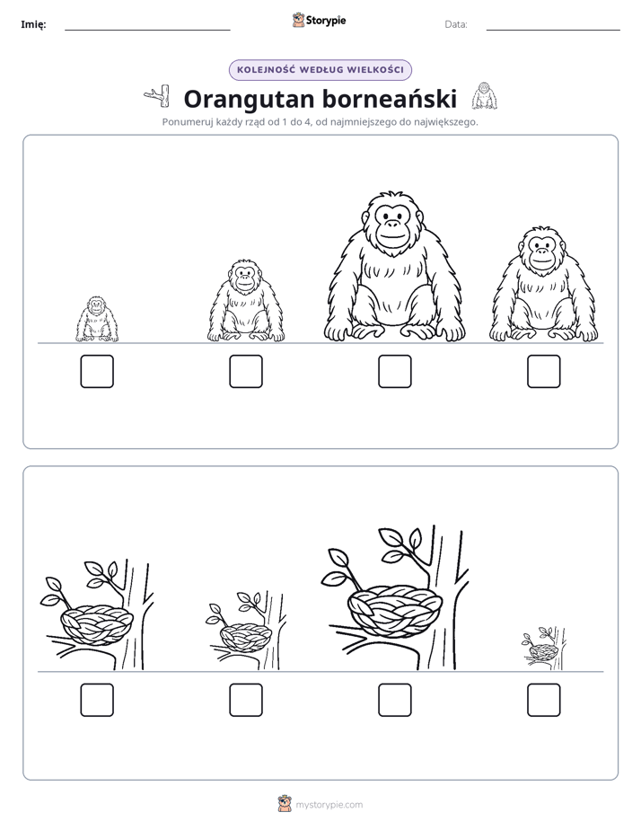 Porządek rozmiarów