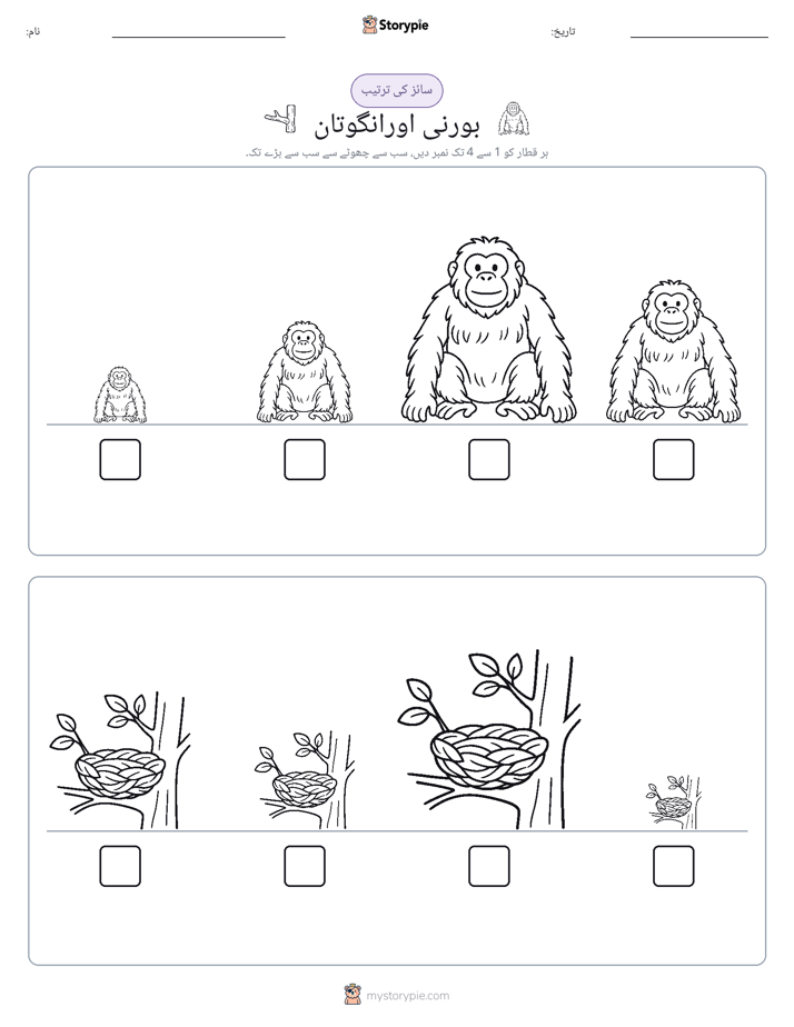 سائز کی ترتیب