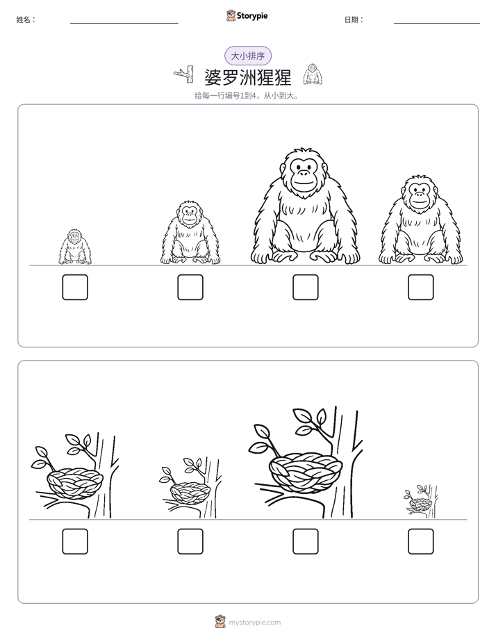 大小排序