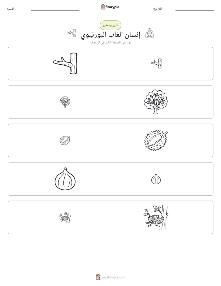 فرز