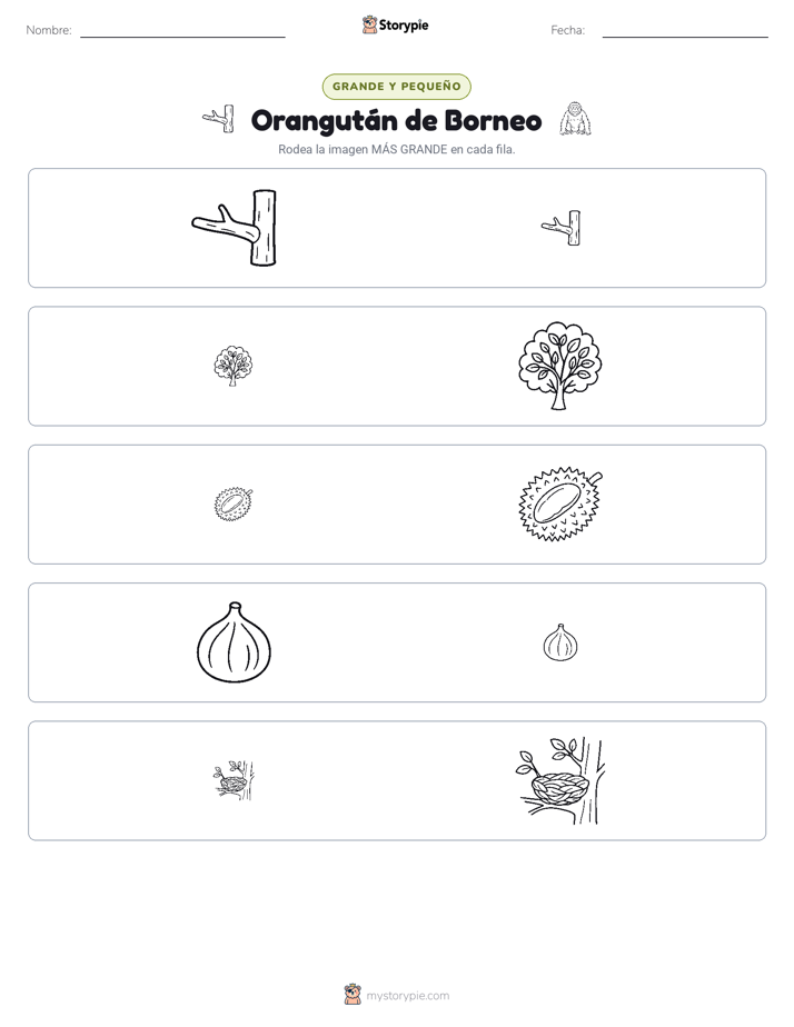 Clasificación