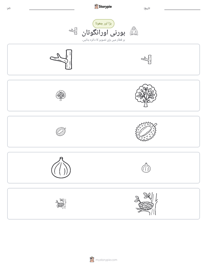 ترتیب دینا