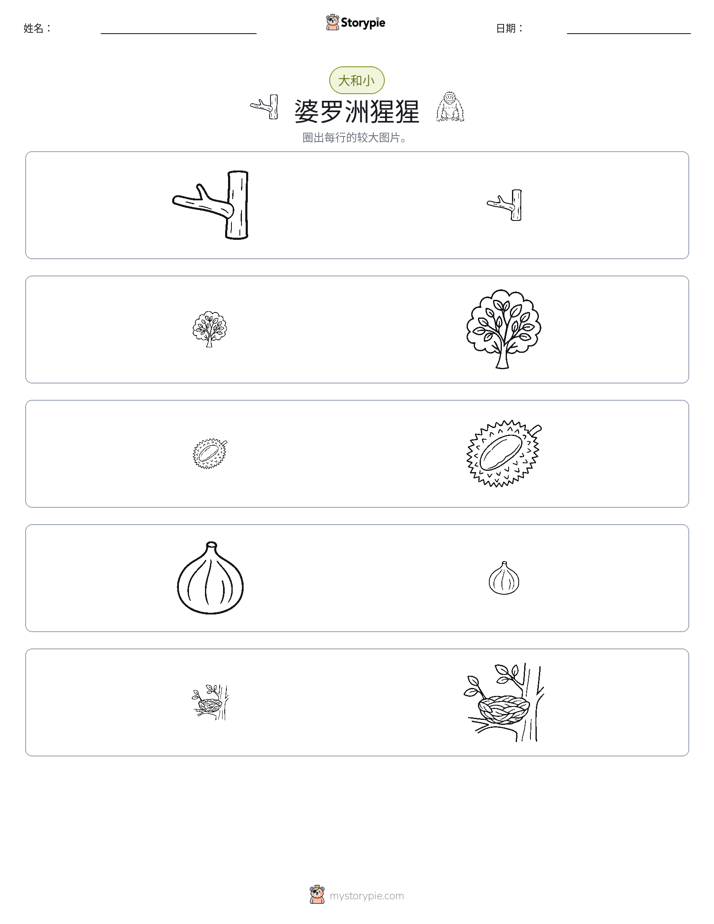 分类