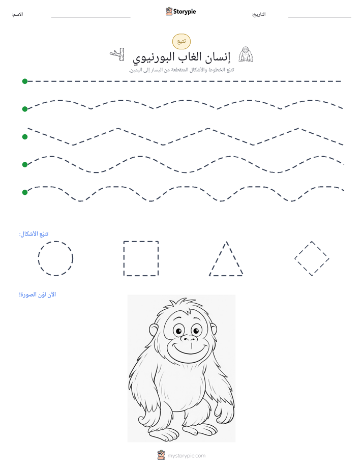 تتبع