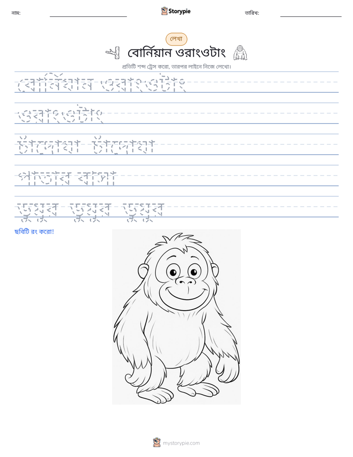 লেখার অনুশীলন