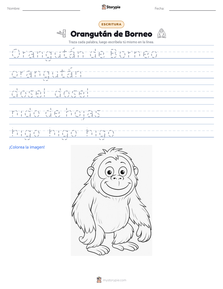 Práctica de Escritura