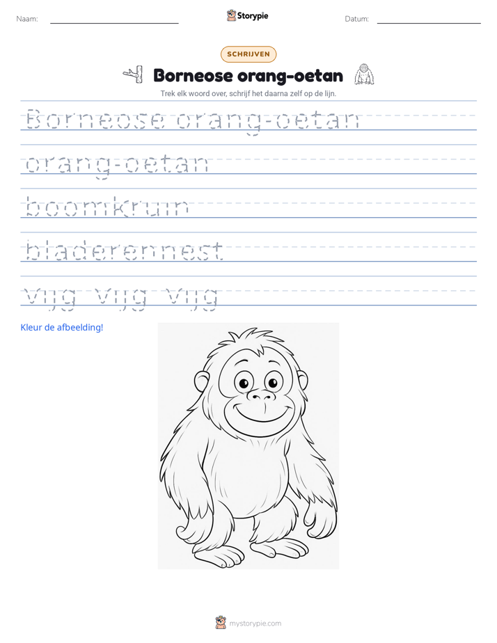 Schrijf Oefening