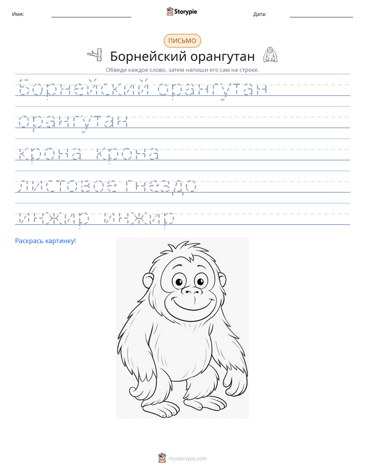 Практика письма