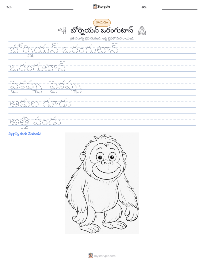 రాయడం సాధన