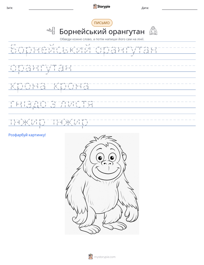 Практика письма