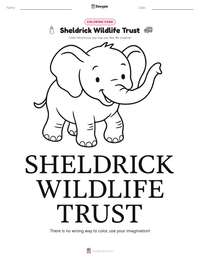 Sheldrick Wildlife Trust printable worksheet preview