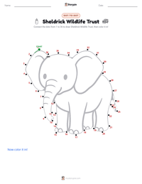 Sheldrick Wildlife Trust printable worksheet preview