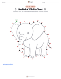 Vista previa de la hoja de trabajo imprimible de Sheldrick Wildlife Trust