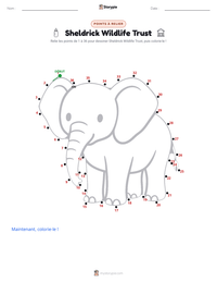 Aperçu de la feuille de travail imprimable Sheldrick Wildlife Trust