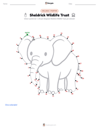 Anteprima della scheda stampabile di Sheldrick Wildlife Trust