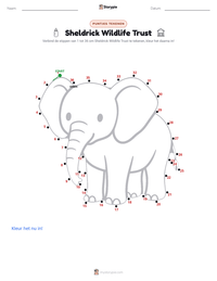Sheldrick Wildlife Trust afdrukbare werkblad voorbeeld