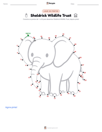 Prévia da folha de atividades imprimível Sheldrick Wildlife Trust
