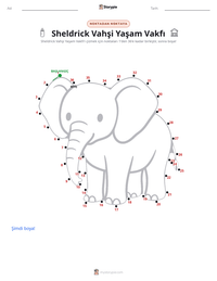 Sheldrick Vahşi Yaşam Vakfı yazdırılabilir çalışma sayfası önizlemesi