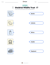 Sheldrick Wildlife Trust printable worksheet preview