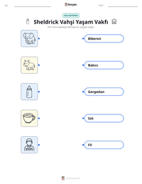 Sheldrick Vahşi Yaşam Vakfı yazdırılabilir çalışma sayfası önizlemesi
