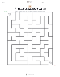 Sheldrick Wildlife Trust printable worksheet preview