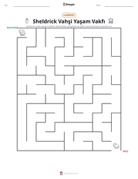 Sheldrick Vahşi Yaşam Vakfı yazdırılabilir çalışma sayfası önizlemesi