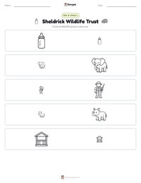 Sheldrick Wildlife Trust printable worksheet preview