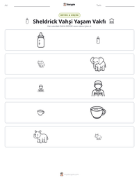 Sheldrick Vahşi Yaşam Vakfı yazdırılabilir çalışma sayfası önizlemesi