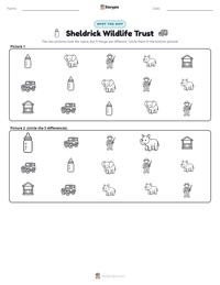 Sheldrick Wildlife Trust printable worksheet preview