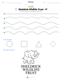 Sheldrick Wildlife Trust printable worksheet preview