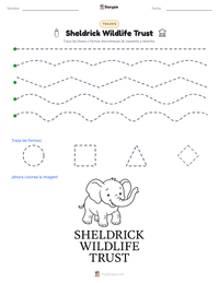 Vista previa de la hoja de trabajo imprimible de Sheldrick Wildlife Trust