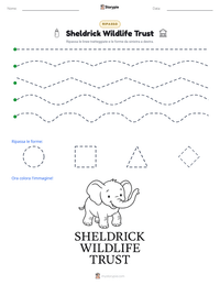 Anteprima della scheda stampabile di Sheldrick Wildlife Trust