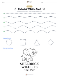 Prévia da folha de atividades imprimível Sheldrick Wildlife Trust