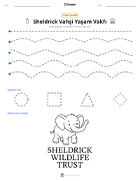 Sheldrick Vahşi Yaşam Vakfı yazdırılabilir çalışma sayfası önizlemesi