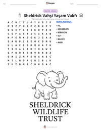 Sheldrick Vahşi Yaşam Vakfı yazdırılabilir çalışma sayfası önizlemesi