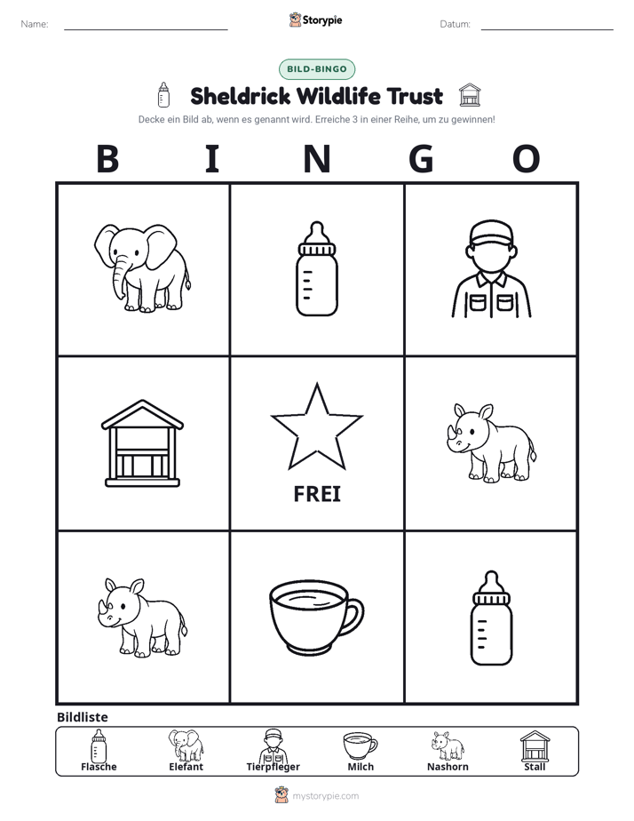 Bild-Bingo