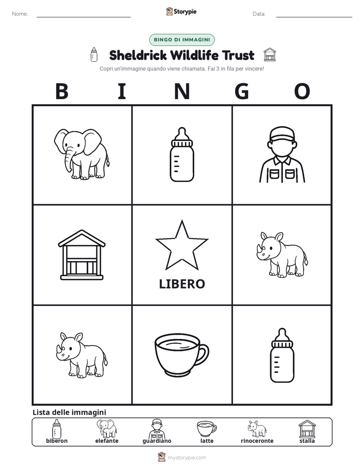 Bingo delle Immagini