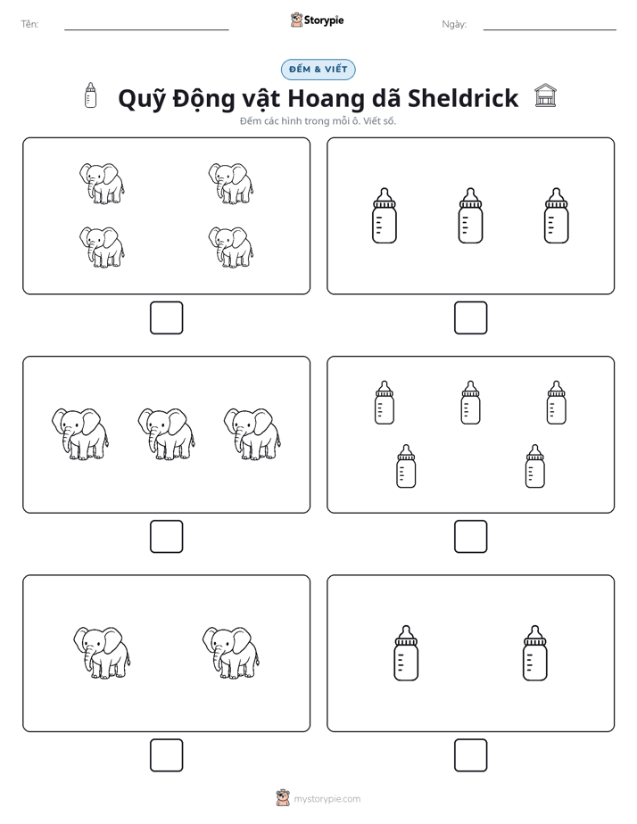Đếm & Viết