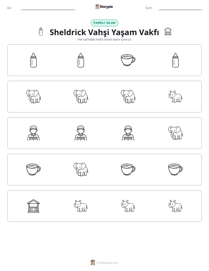 Farklı Olanı Bul