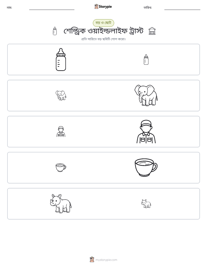 সাজানো