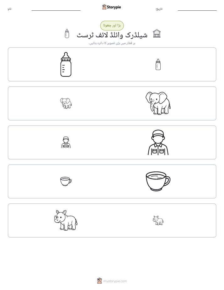ترتیب دینا