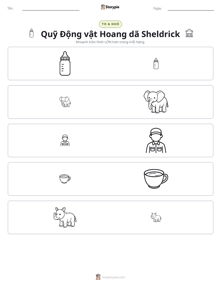 Phân Loại