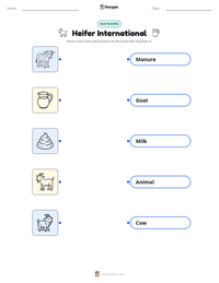 Heifer International printable worksheet preview