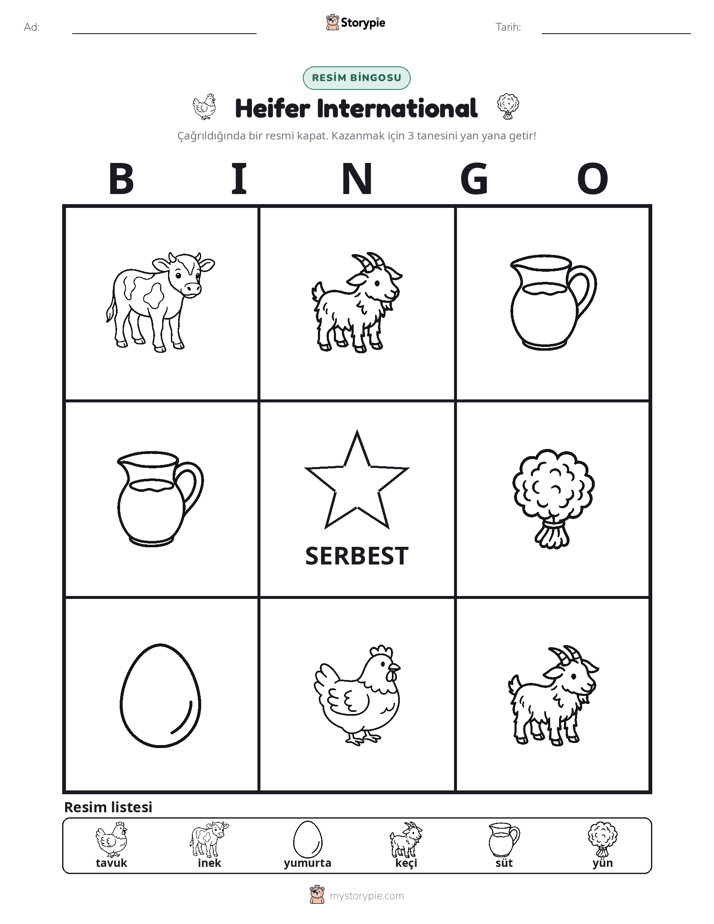 Resim Bingo