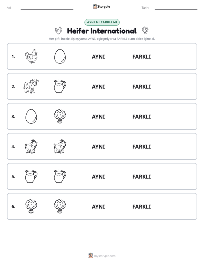 Aynı mı Farklı mı
