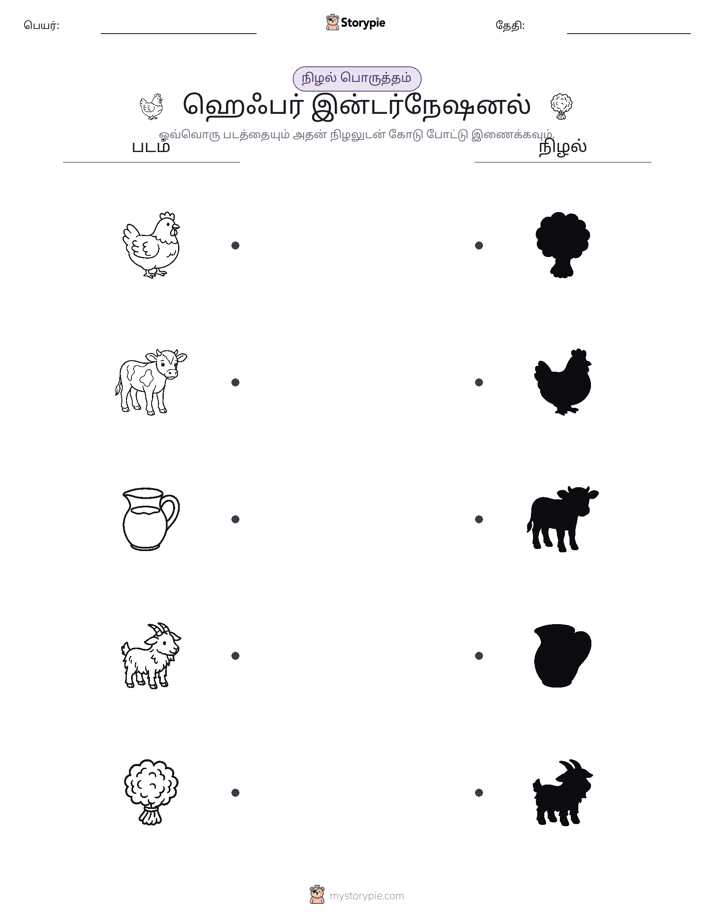 நிழல் பொருத்தம்