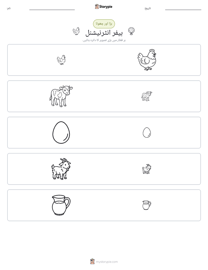 ترتیب دینا